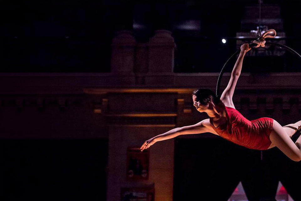 Aerial Shows