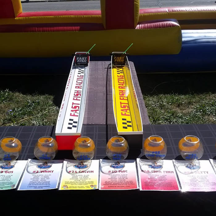 Mechanical Fast Fish Racing